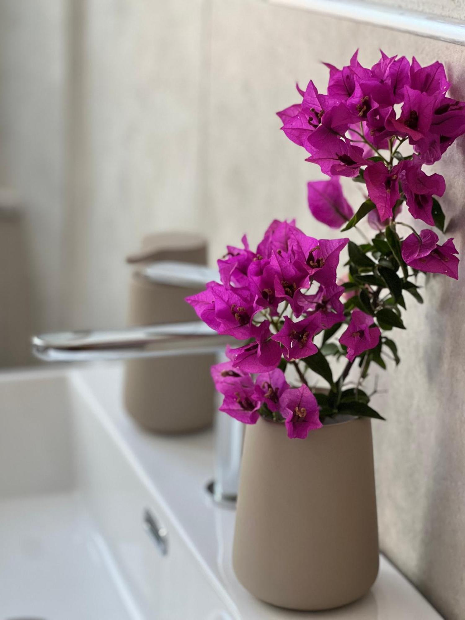 Bed and Breakfast Il Mandorlo Санта-Тереза-Галлура Экстерьер фото